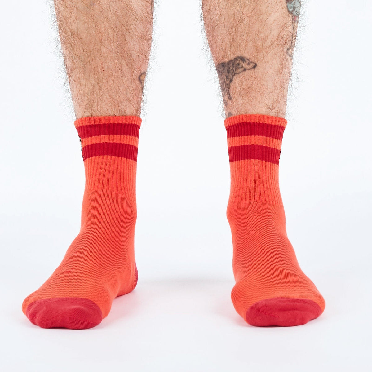 Rad Chicken quarter socks – model front view